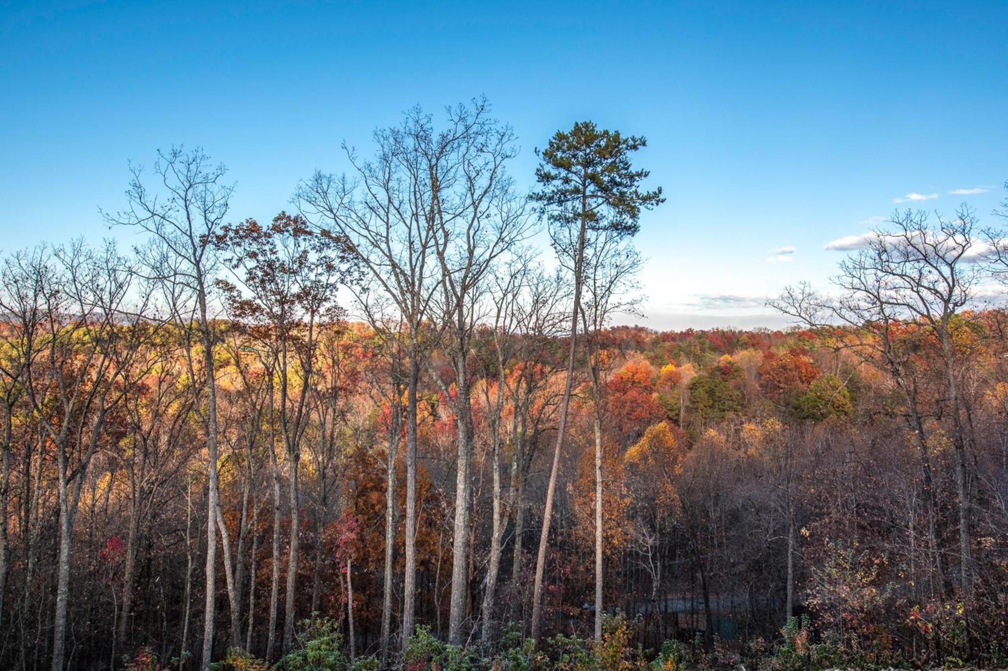 The Treetop Sanctuary Villa Sevierville Bagian luar foto